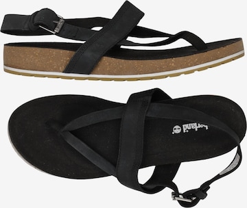 TIMBERLAND Sandals & High-Heeled Sandals in 42 in Black: front