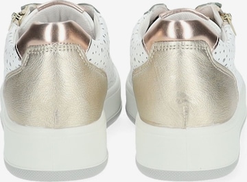 IGI&CO Sneakers in White