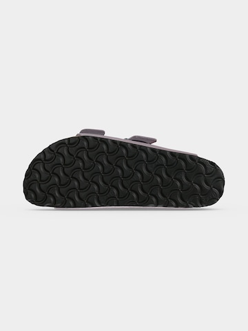 purpurinė BIRKENSTOCK Šlepetės 'Arizona'
