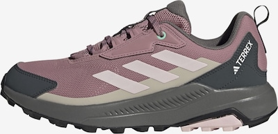 36 dydžio Pusbačiai 'Anylander' iš ADIDAS TERREX, spalva – pilka / tamsiai pilka / alyvinė spalva / rausvai violetinė spalva, Prekių apžvalga