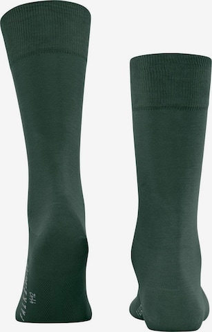 FALKE Socks in Green