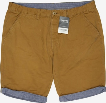Cedar Wood State Shorts 31-32 in Beige: Vorderseite