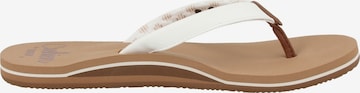 Tongs 'Cushion Sands' REEF en blanc