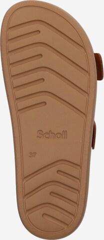 SCHOLL Pantolette 'NEW BOGOTA' in Braun