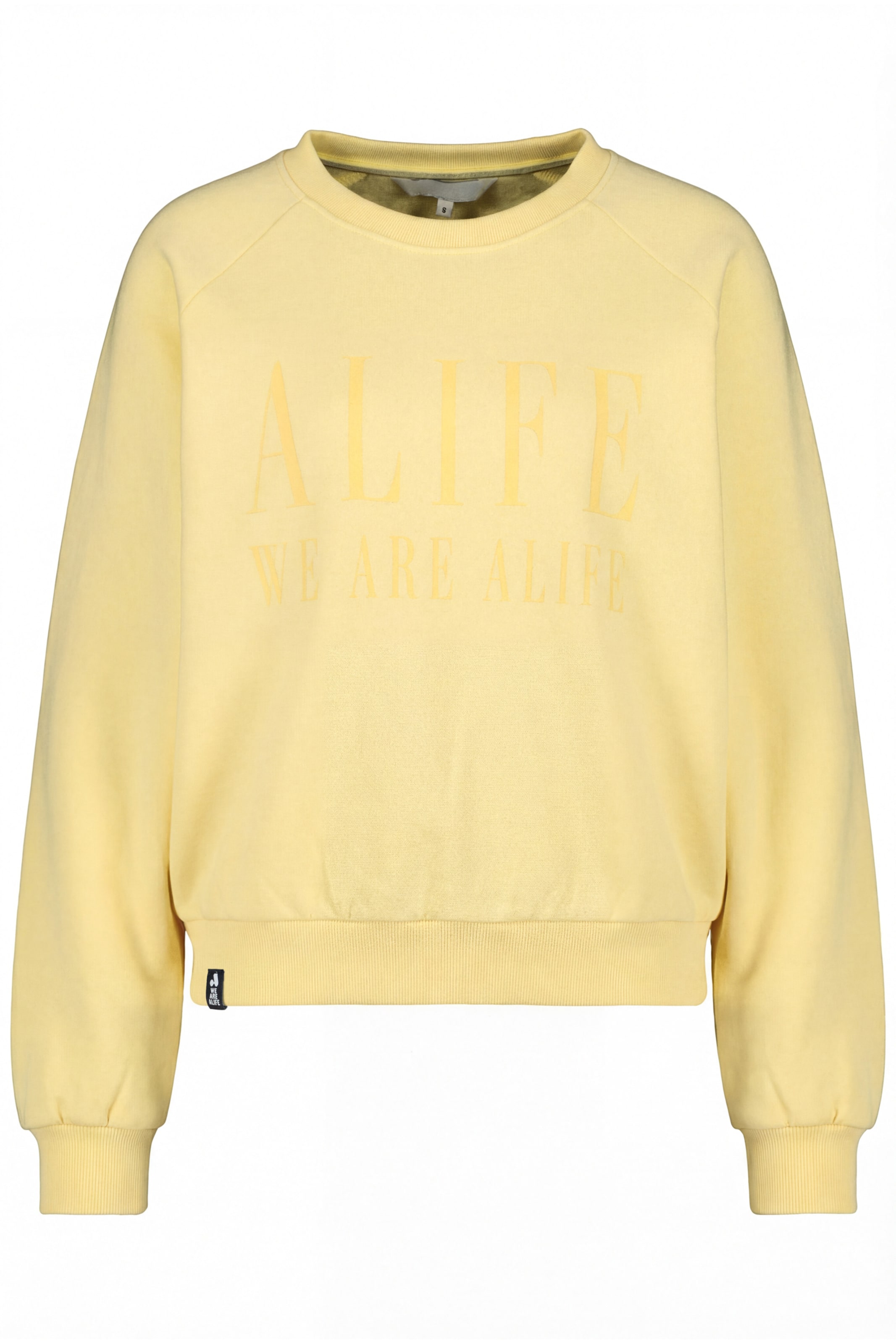 alife & kickin Sweatshirt 'ThyraAK P' in Gelb: Vorderseite