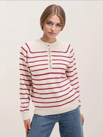 Bigdart Trui in Roze: voorkant