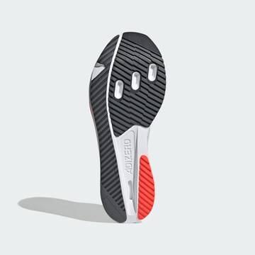 Scarpa da corsa 'Adizero Sl2' di ADIDAS PERFORMANCE in bianco