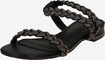 TATA Italia Strap Sandals in Black: front
