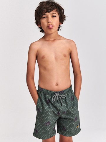 Shiwi Kratke kopalne hlače | zelena barva: sprednja stran