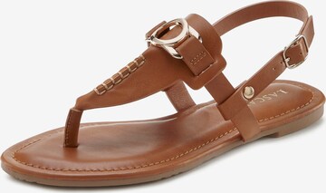 LASCANA T-Bar Sandals in Brown: front