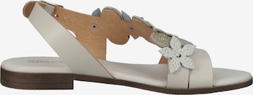 Sandales IGI&CO en beige