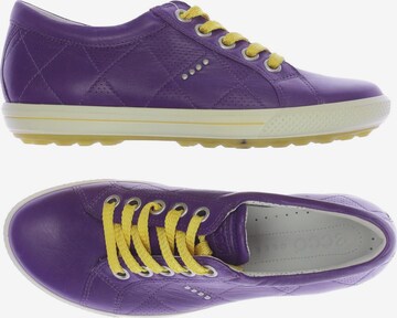 ECCO Sneakers & Trainers in 37 in Purple: front