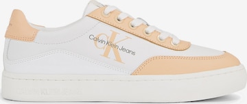 Baskets basses Calvin Klein Jeans en orange