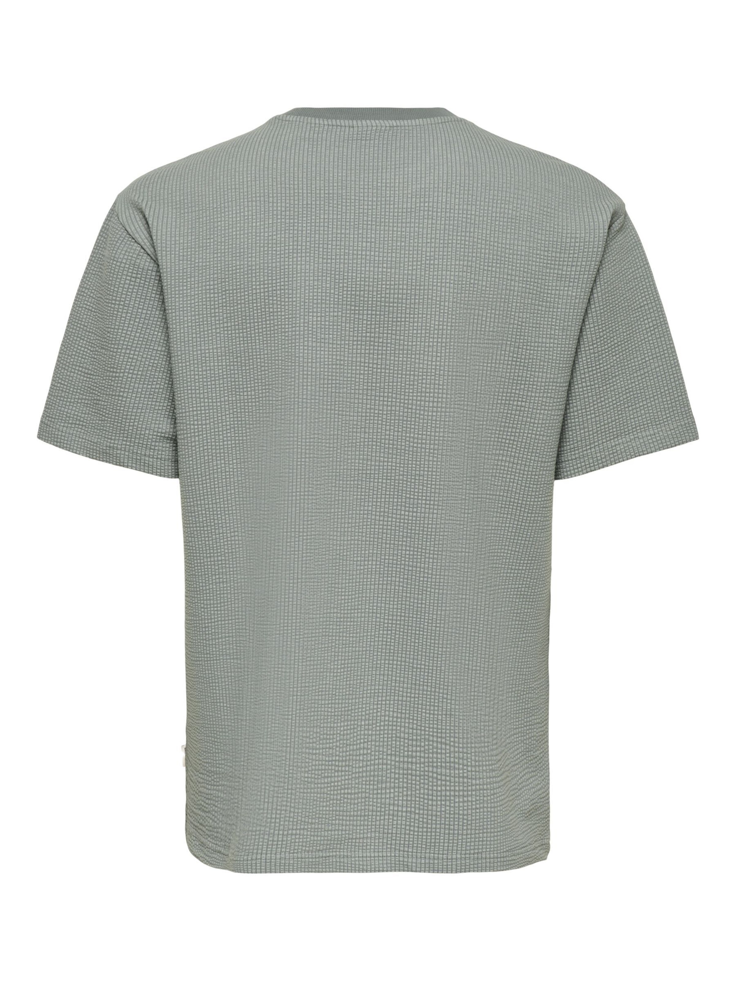 Only & Sons T-Shirt 'ONSKian' in Grau