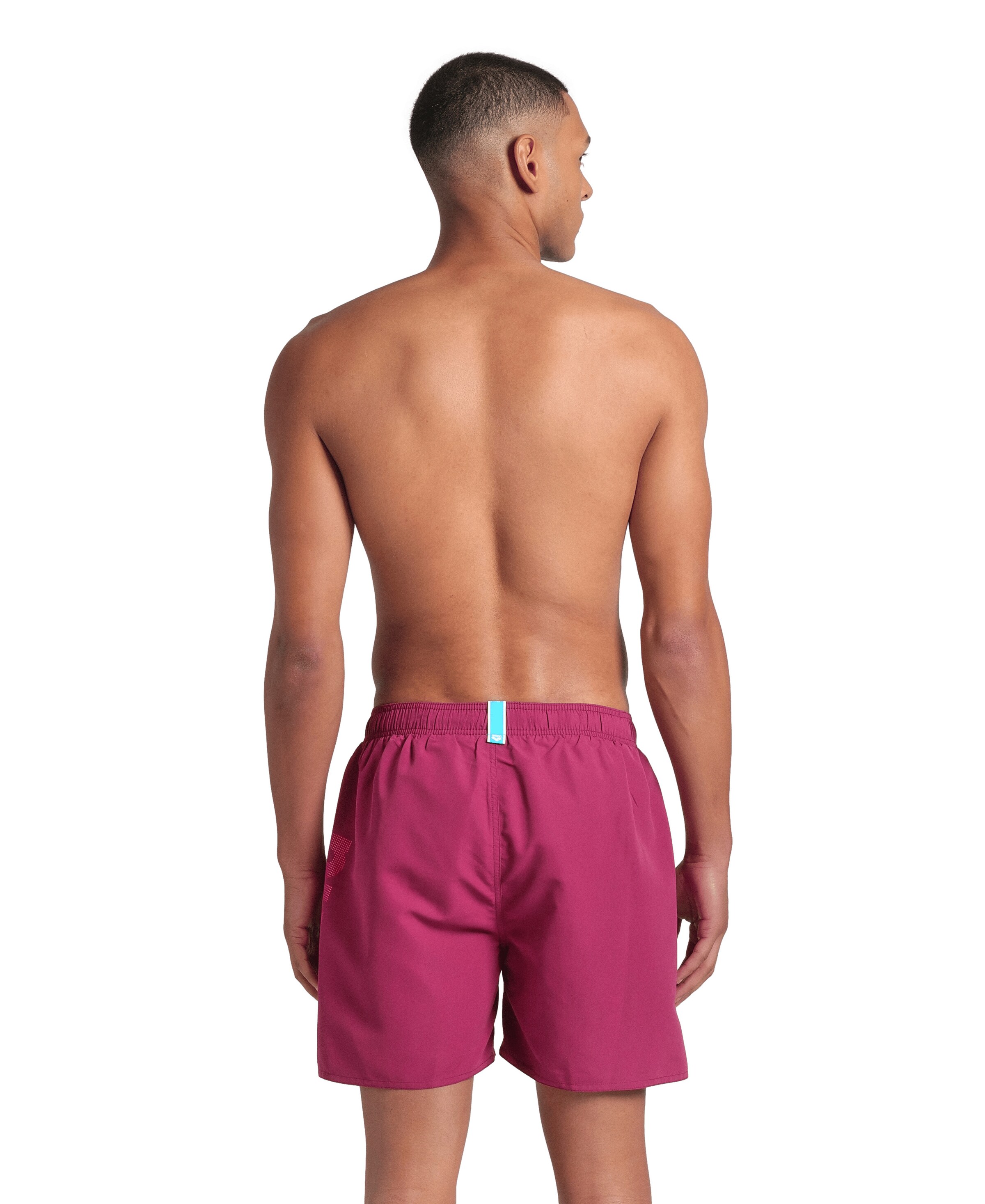 ARENA Swimming Trunks in Purple