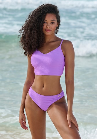 Invisible Hauts de bikini SUNSEEKER en violet