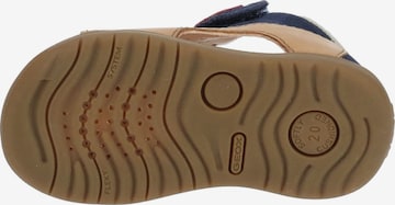 GEOX Sandals & Slippers in Brown