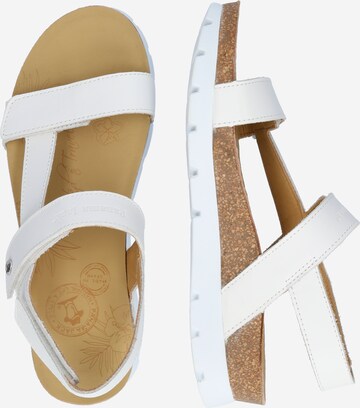 PANAMA JACK Sandal 'Selma B5' in White