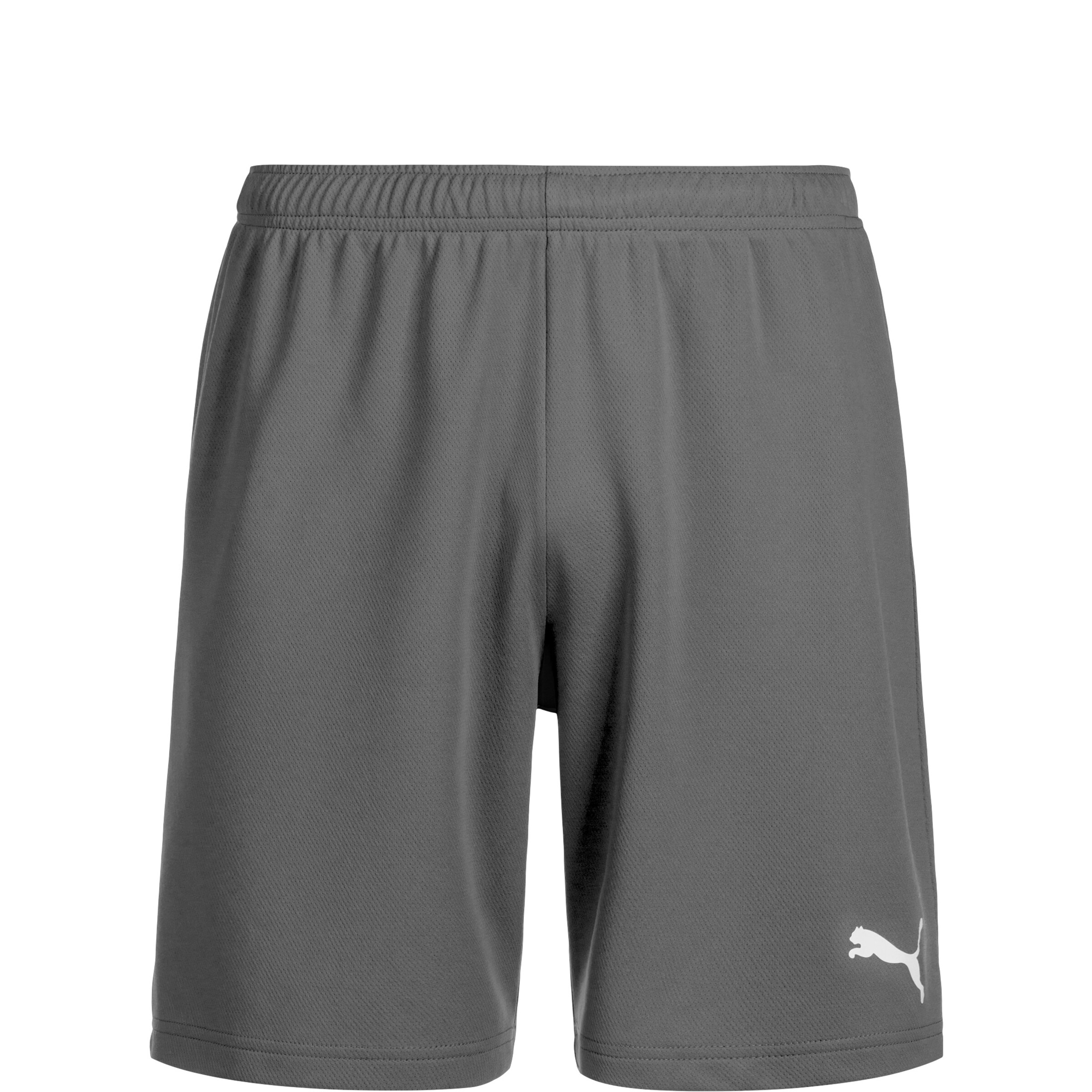 PUMA Workout Pants 'TeamRise' in Grey: front