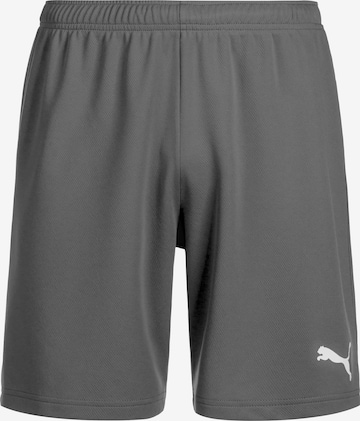 PUMA Regular Workout Pants 'TeamRise' in Grey: front