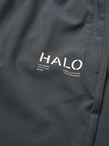 HALO Loosefit Broek in Grijs