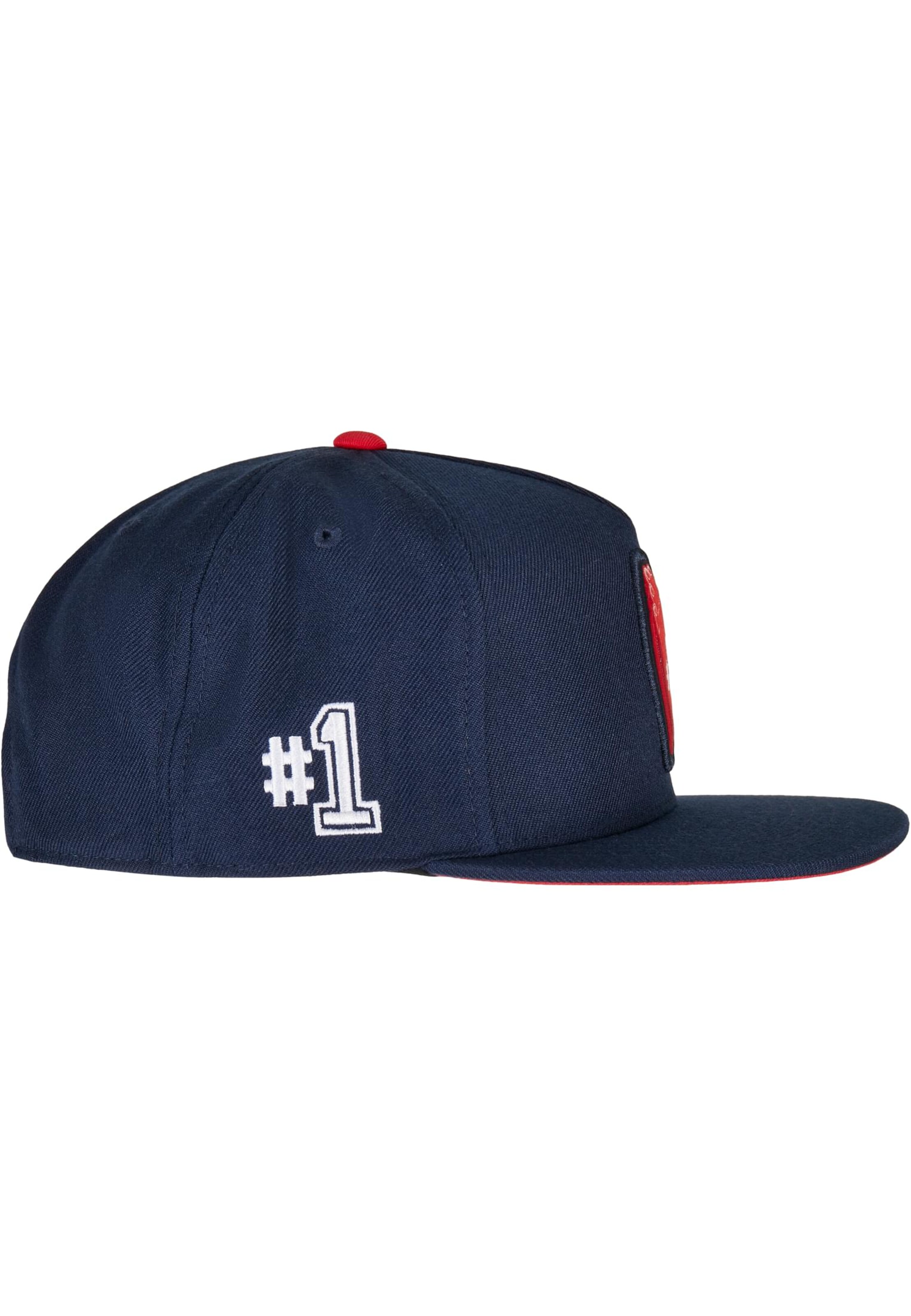 Cayler & Sons Pet in Blauw