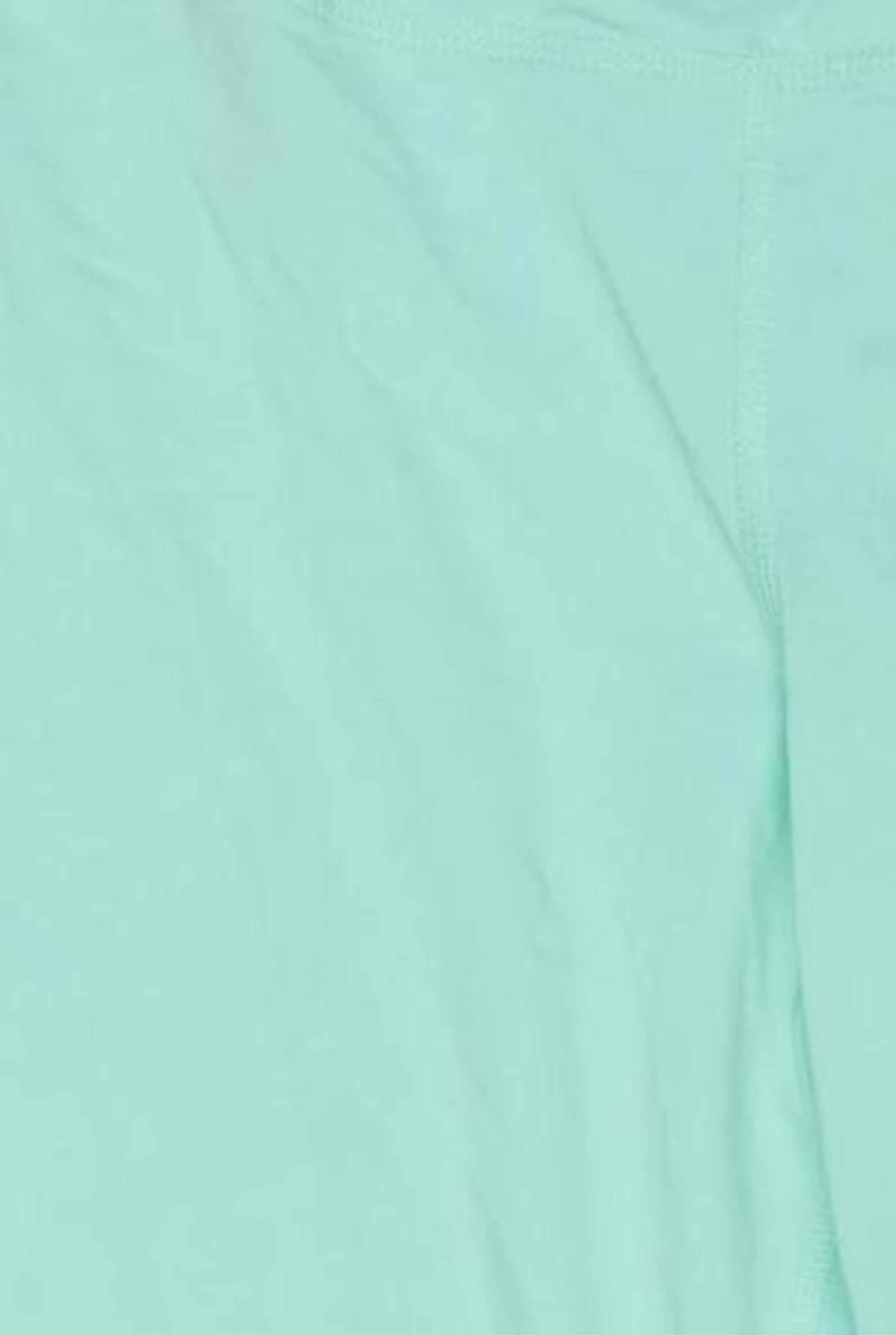 HOLLISTER Shorts in M in Green