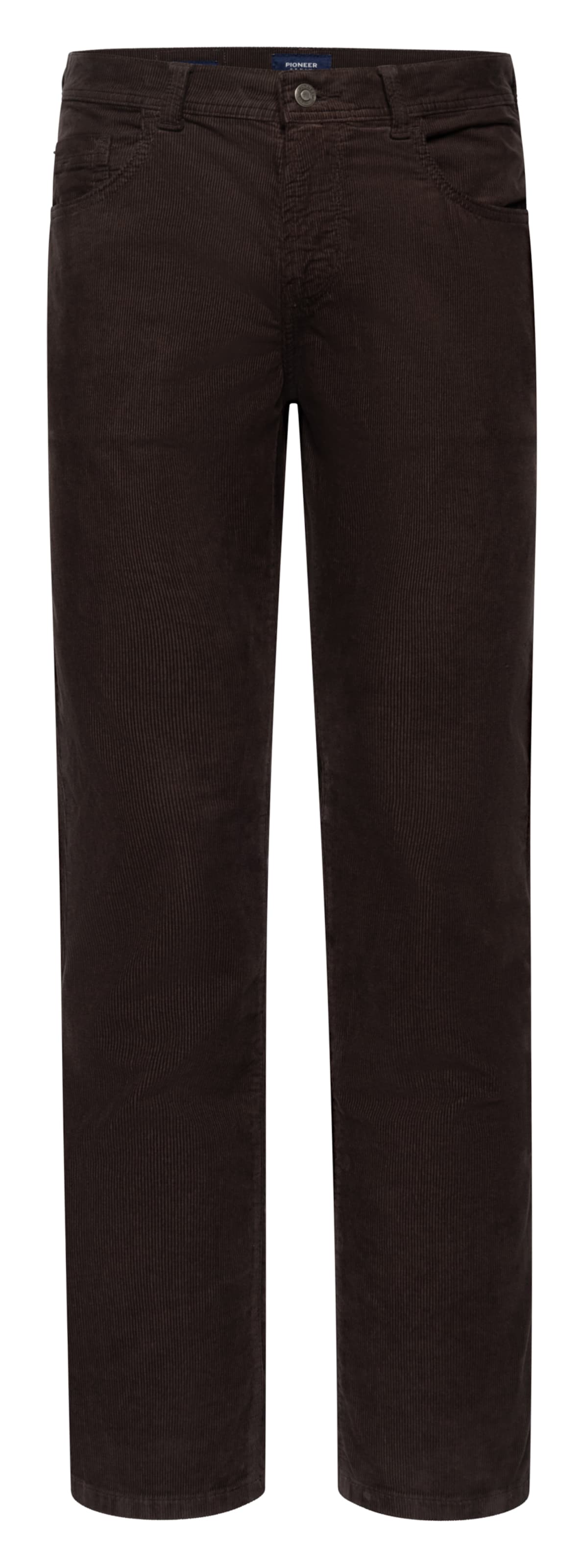 Pioneer Authentic Jeans Regular Pants in Brown: front