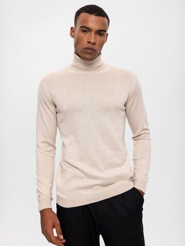 Antioch Pullover i beige