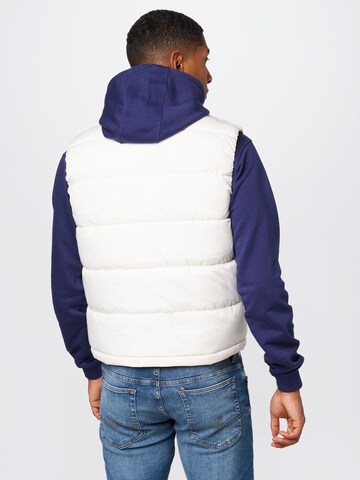 ALPHA INDUSTRIES Vest in White