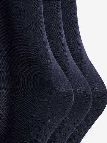 FALKE Socks 'Tiago' in Blue