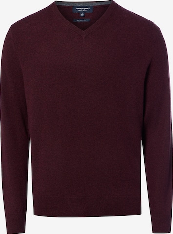 Pull-over Andrew James en violet : devant