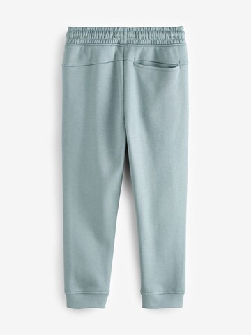 regular Pantaloni funzionali di Next in verde