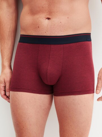 CALIDA Boxer shorts 'Cotton Stretch' in Purple