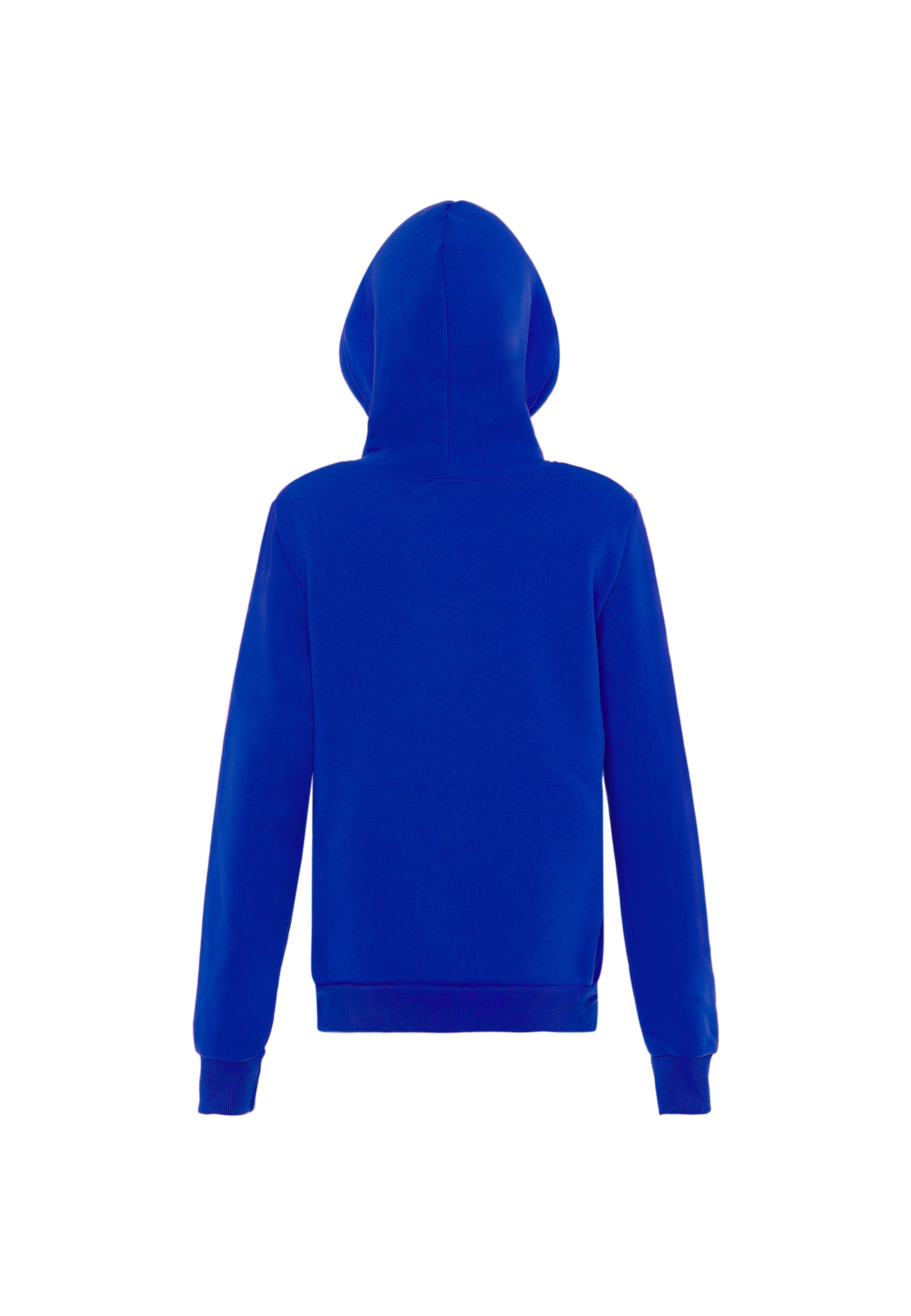 hoona Sweatshirt in Blau
