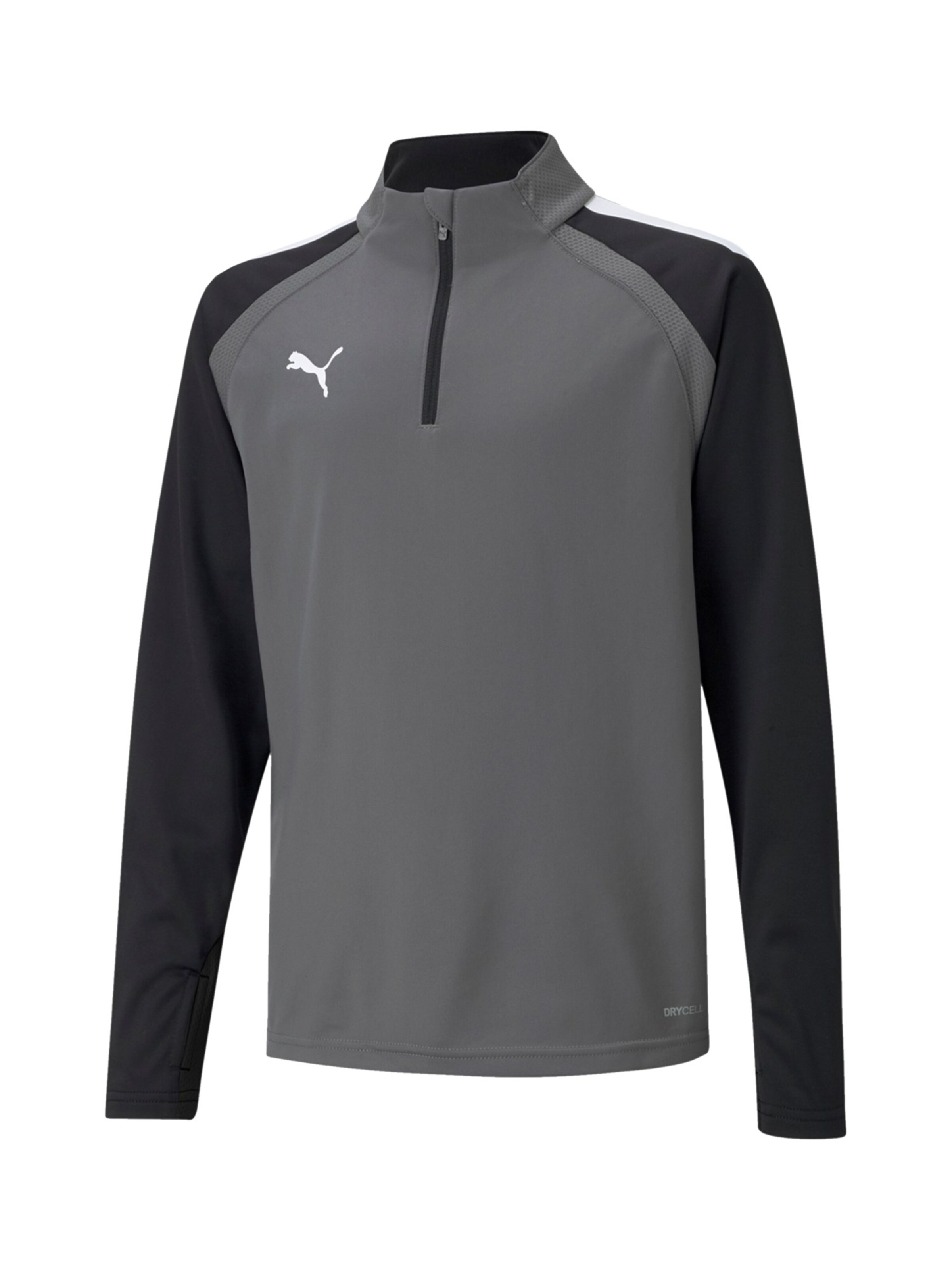 PUMA Sportsweatshirt 'Liga' in Grau: Vorderseite