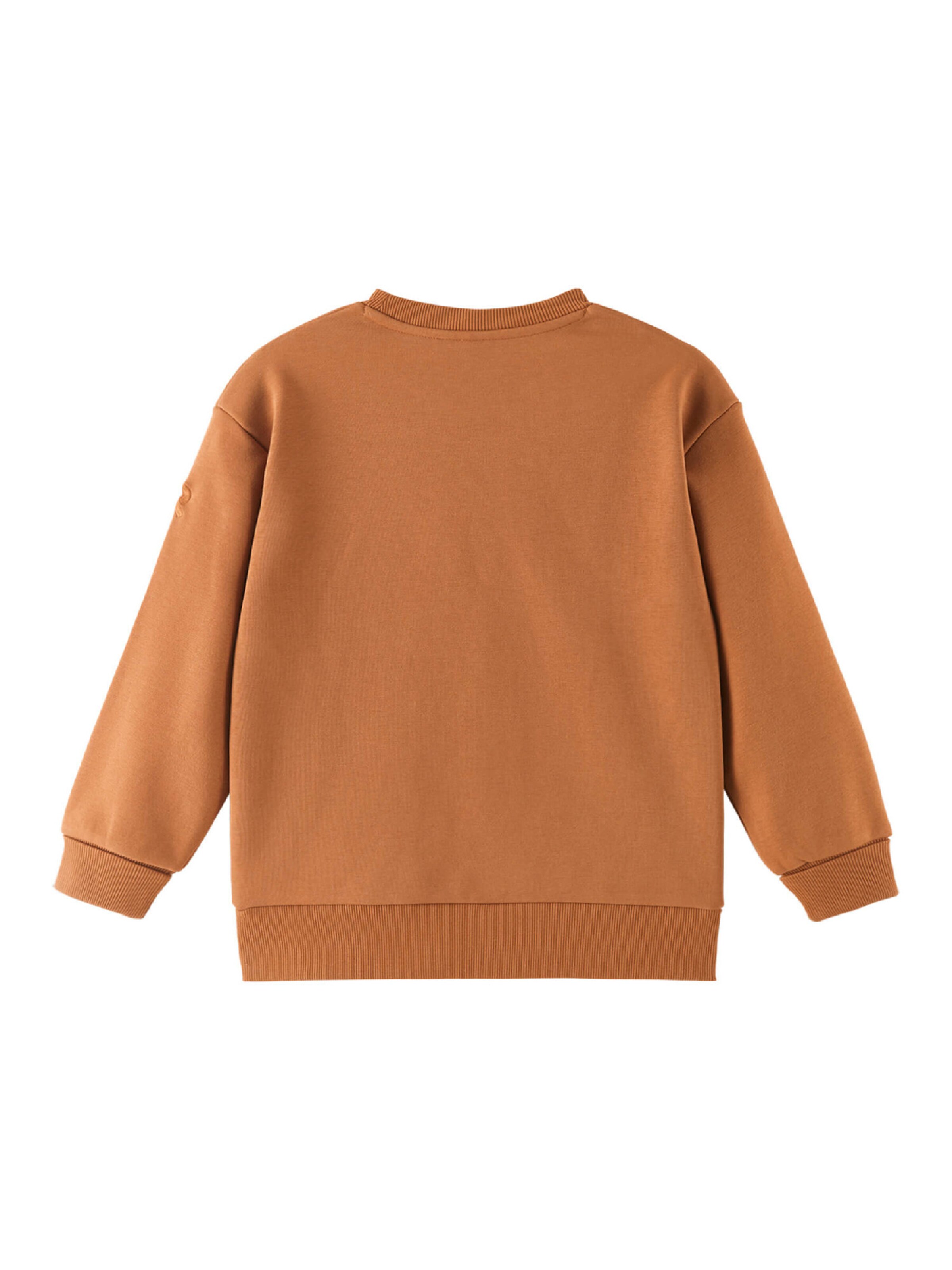 Reima Sweatshirt 'Svetari' in Bruin