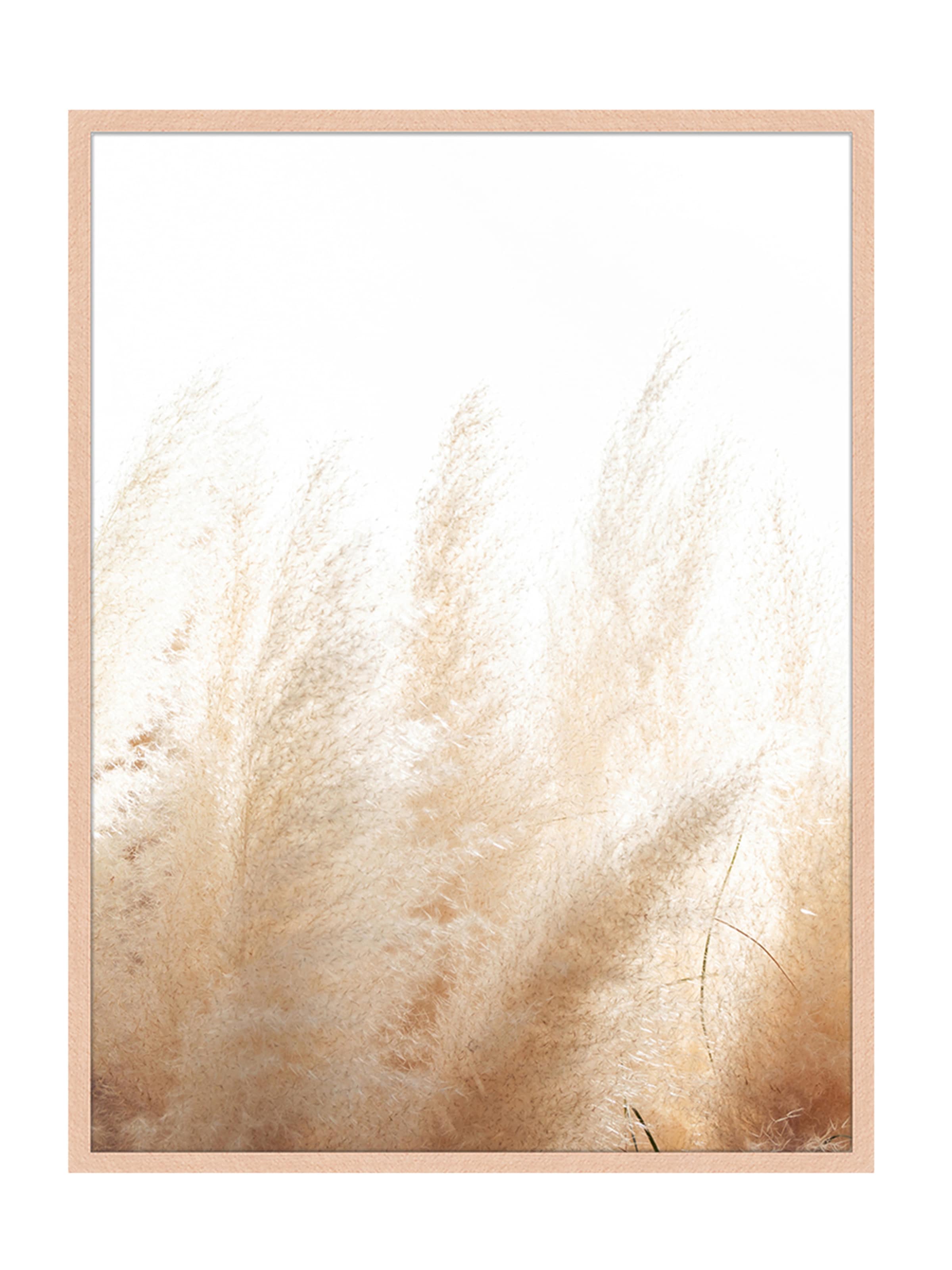 Liv Corday Image 'Pampa Grass' in Brown: front
