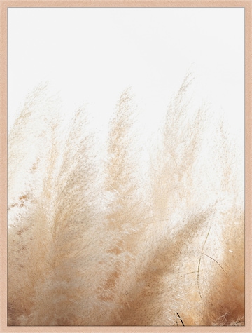 Liv Corday Image 'Pampa Grass' in Brown: front