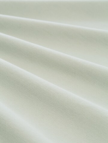 TOM TAILOR Men + Shirt in Groen