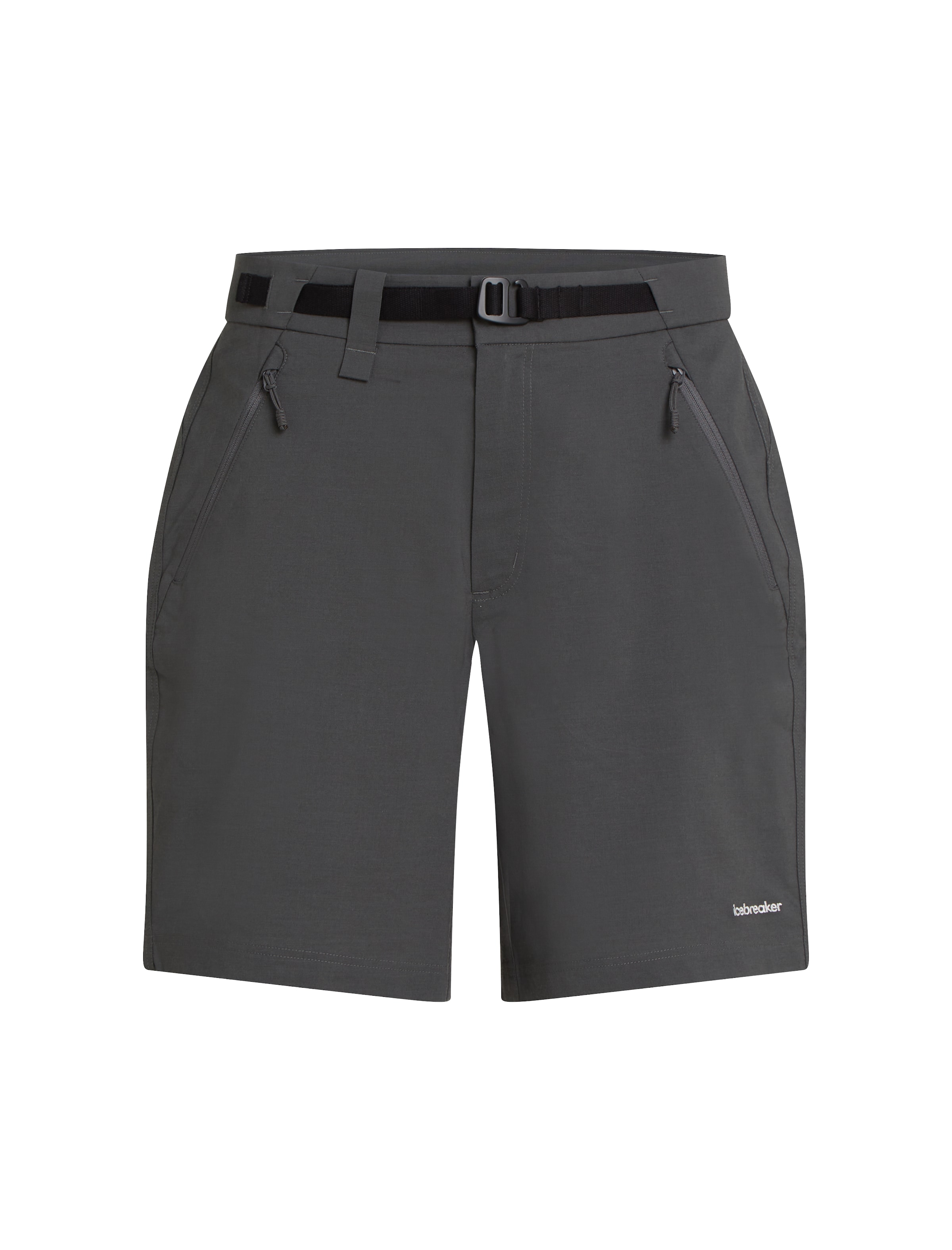 ICEBREAKER Обычный Штаны в Серый: спереди