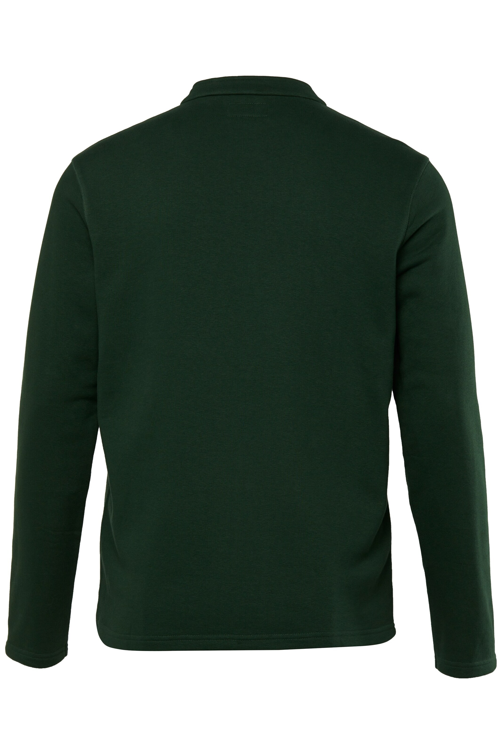 Men Plus Sweatjacke in Grün