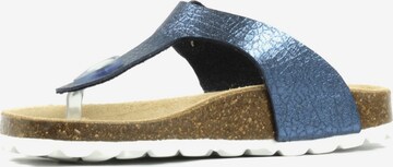 Richter Schuhe Sandals in Blue: front