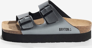 Mule 'JAPET' Bayton en gris : devant