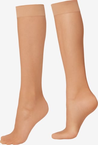 CALZEDONIA Knee High Socks in Beige: front