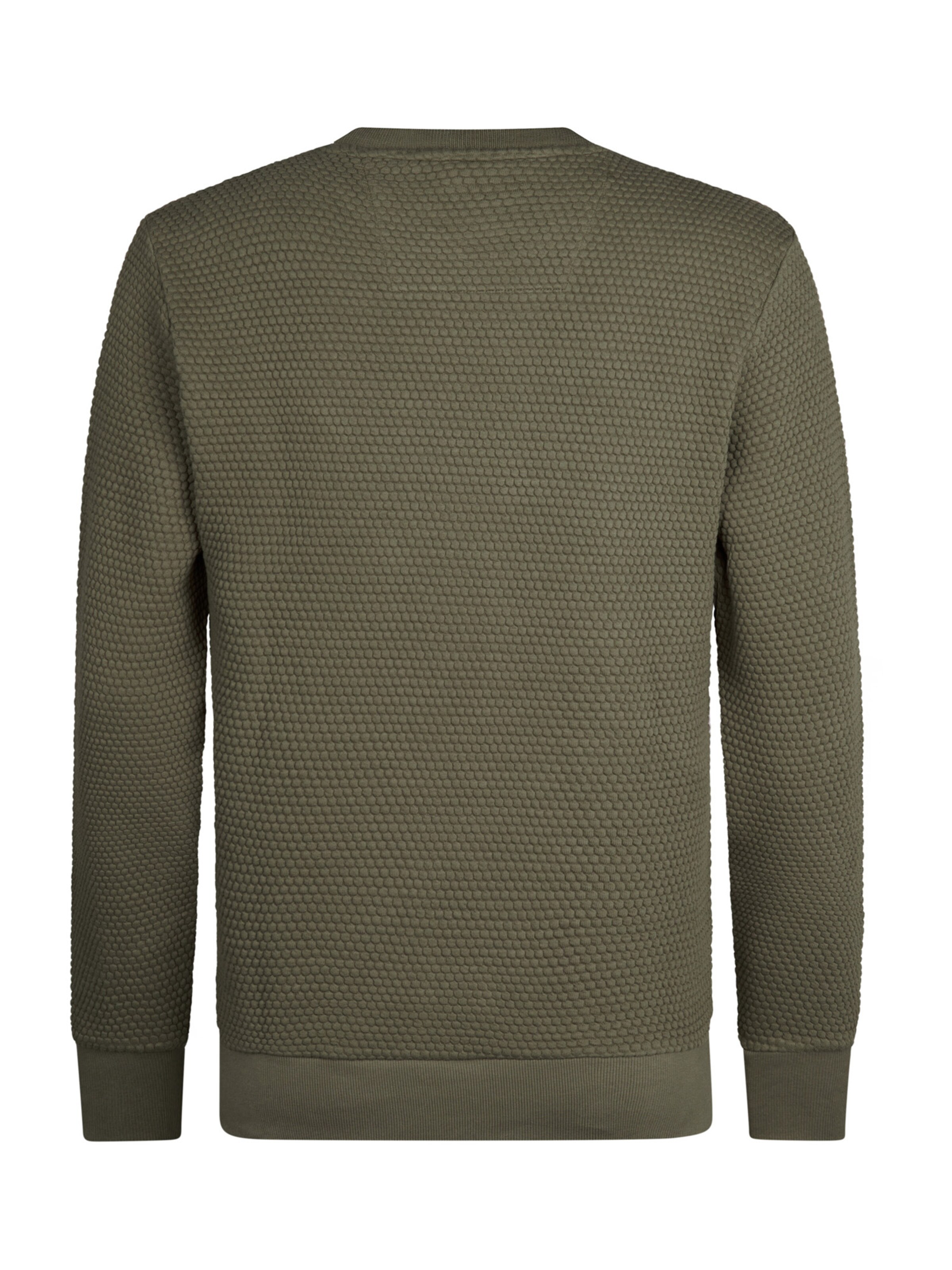 Petrol Industries - Sudadera 'Gunnison' en verde
