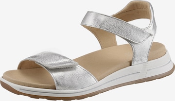 ARA T-Bar Sandals in Grey: front