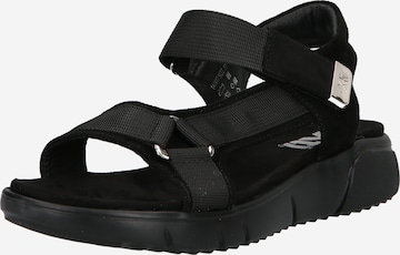 Xti Sandals in Black: front