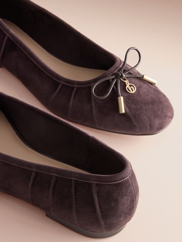 B by Ted Baker Ballerina in Bruin