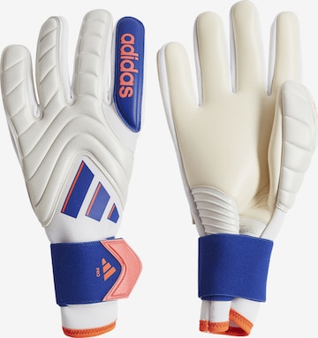 ADIDAS PERFORMANCE Športne rokavice 'Copa Pro' | bela barva: sprednja stran